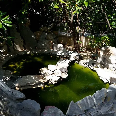 Rita Oase Apartment Makarska